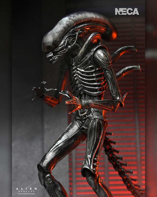 Ultimate Xenomorph XX121 Figura de Accion Alien Romulus Neca Ultimate 20cm