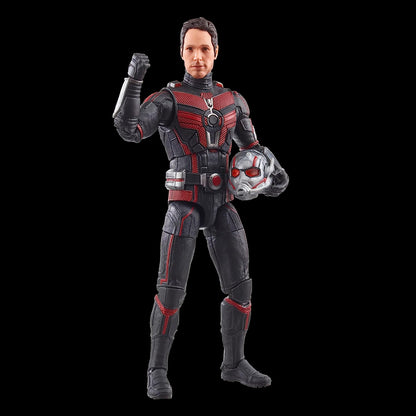 Ant Man Quantumania Figura De Acción Ant Man And The Wasp Quantumania Marvel Legends Hasbro 16 Cm