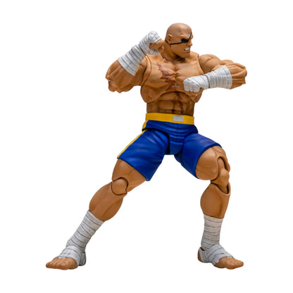 Sagat Figura de Accion Street Fighter Alpha 3 Storm Arena 18 Cm