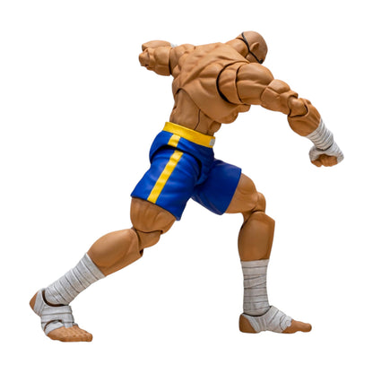 Sagat Figura de Accion Street Fighter Alpha 3 Storm Arena 18 Cm