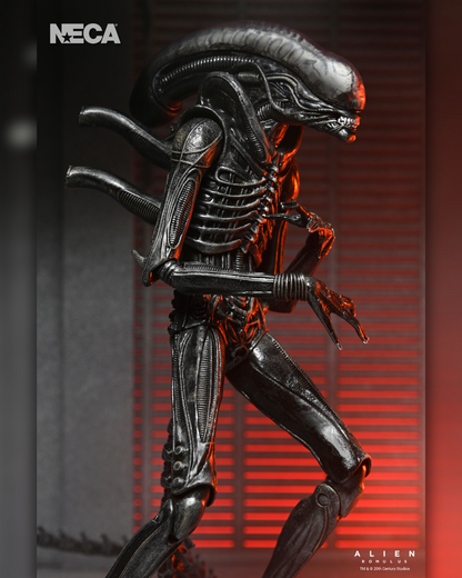 Ultimate Xenomorph XX121 Figura de Accion Alien Romulus Neca Ultimate 20cm