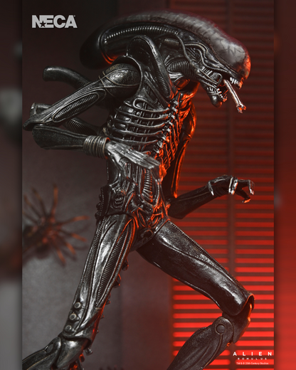 Ultimate Xenomorph XX121 Figura de Accion Alien Romulus Neca Ultimate 20cm