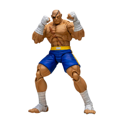 Sagat Figura de Accion Street Fighter Alpha 3 Storm Arena 18 Cm