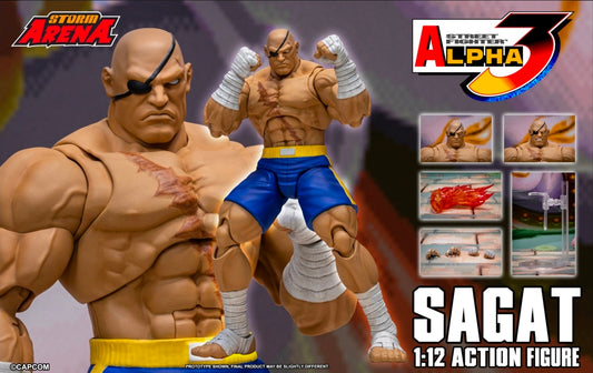 Sagat Figura de Accion Street Fighter Alpha 3 Storm Arena 18 Cm
