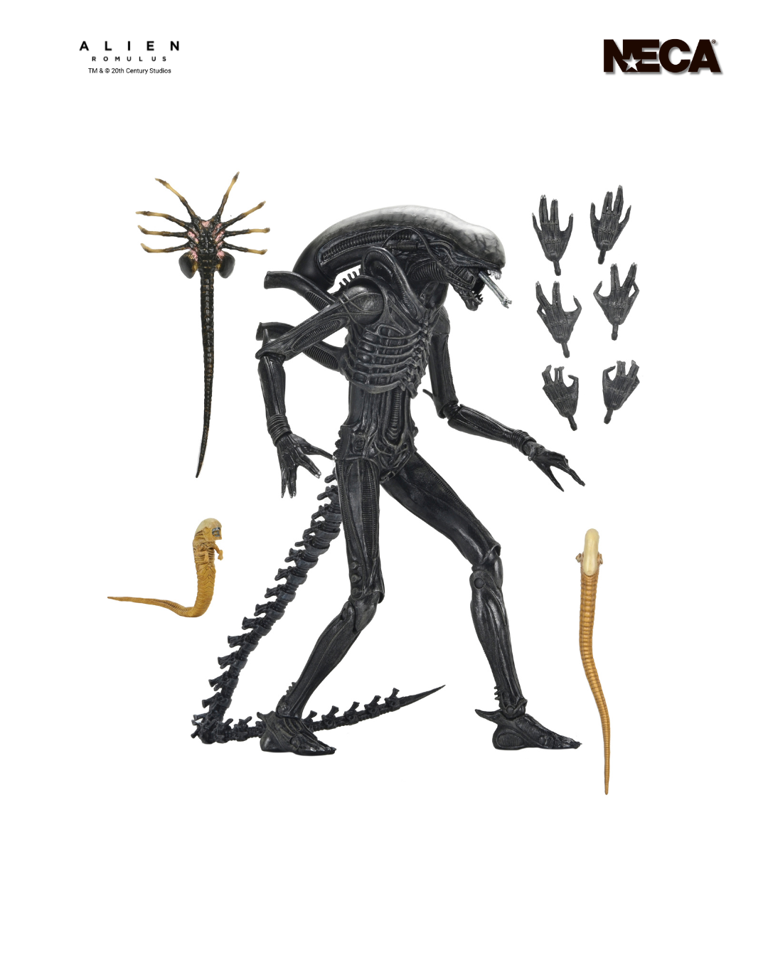 Ultimate Xenomorph XX121 Figura de Accion Alien Romulus Neca Ultimate 20cm