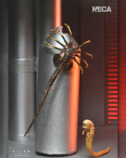 Ultimate Xenomorph XX121 Figura de Accion Alien Romulus Neca Ultimate 20cm